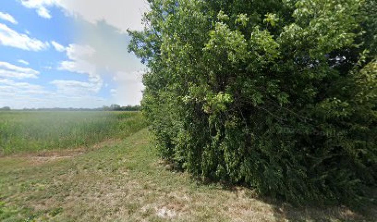 Farmer Bill's Produce & Honey