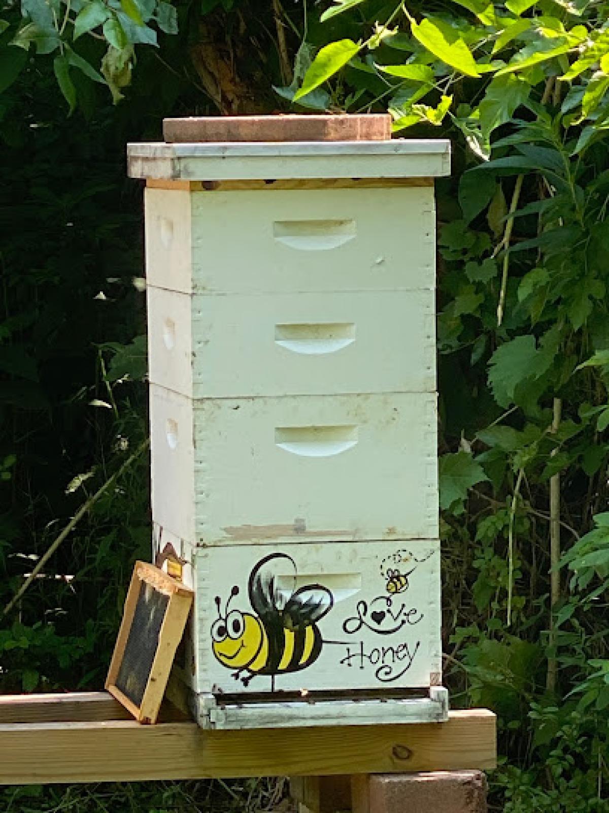 The S&S Bee Company
