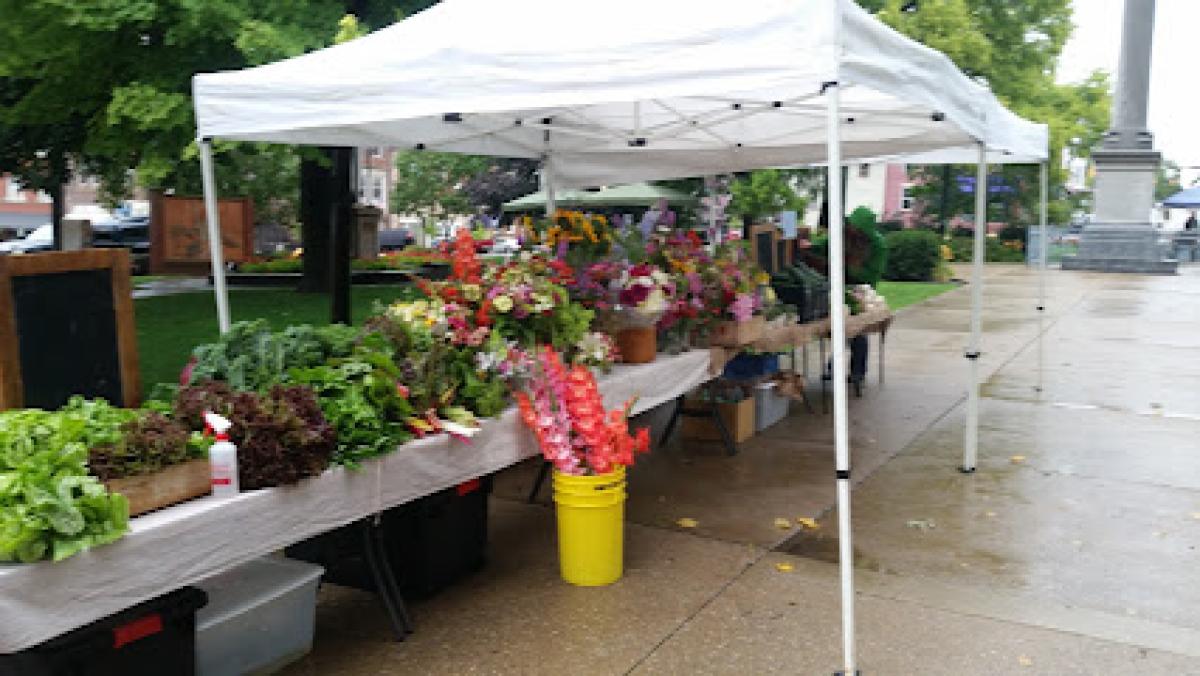 Mount Vernon Farmers Market