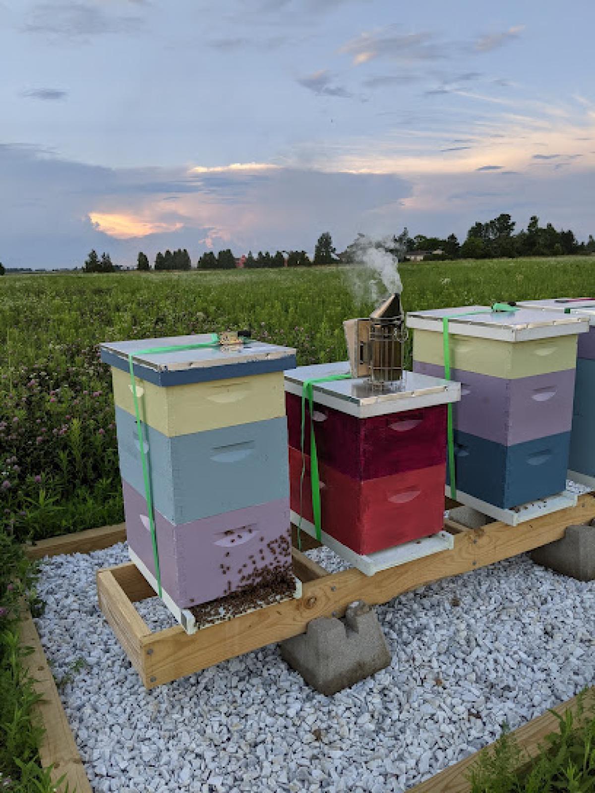 Stony Ridge Apiaries LLC