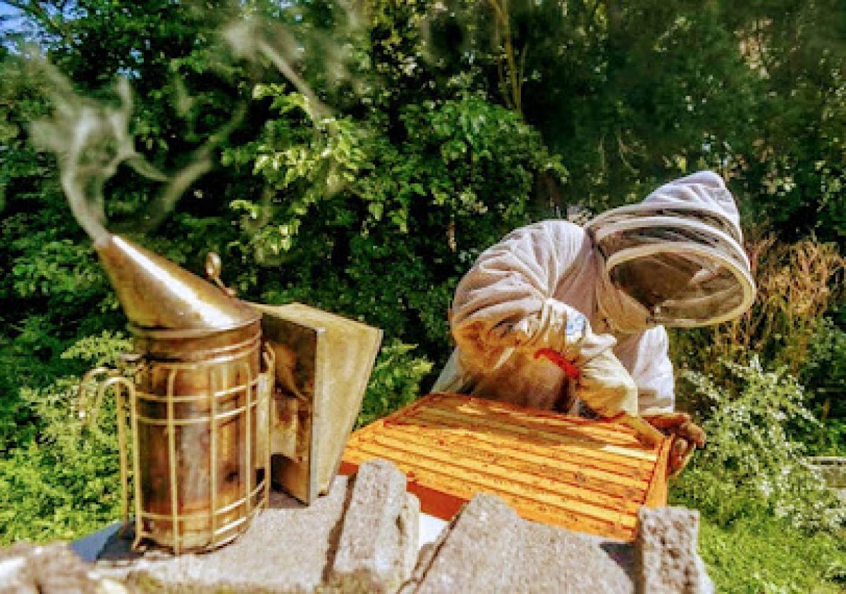 Wesley Family Apiary & Microfarm (Akron Honey)