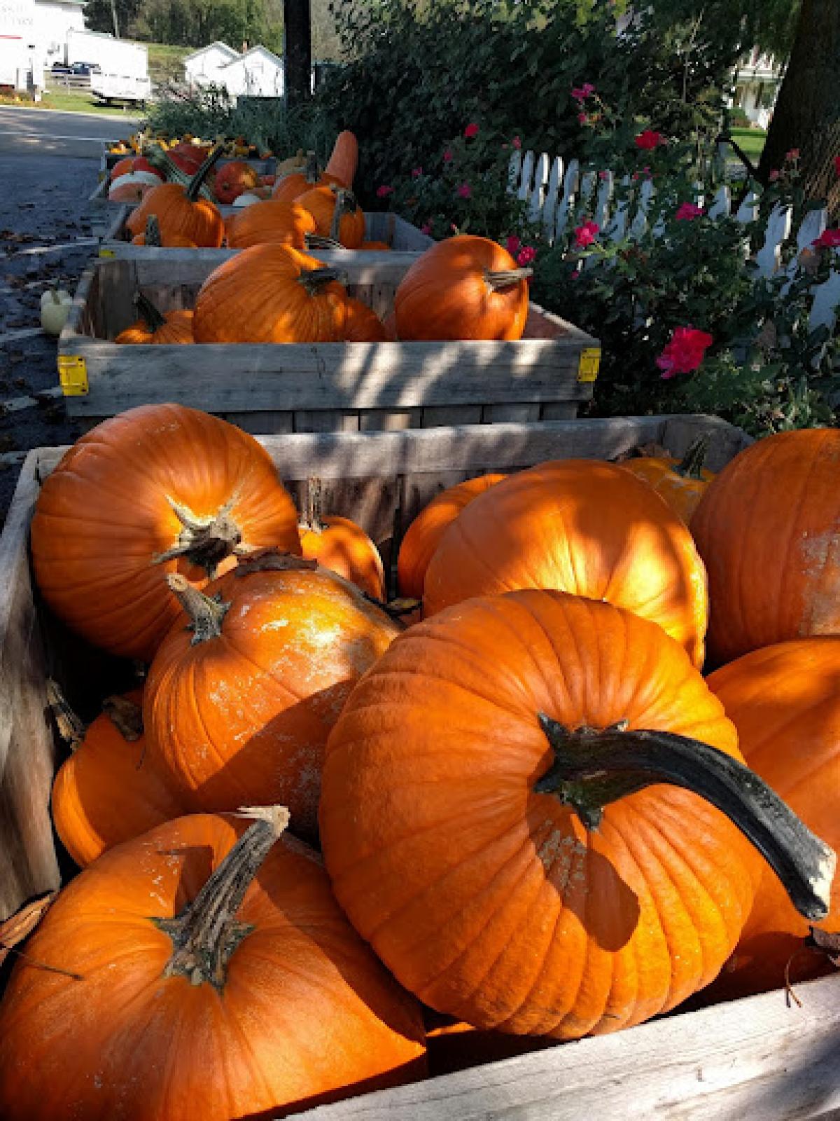 Hirsch Fruit Farm & Market