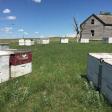 Miller Honey Farms