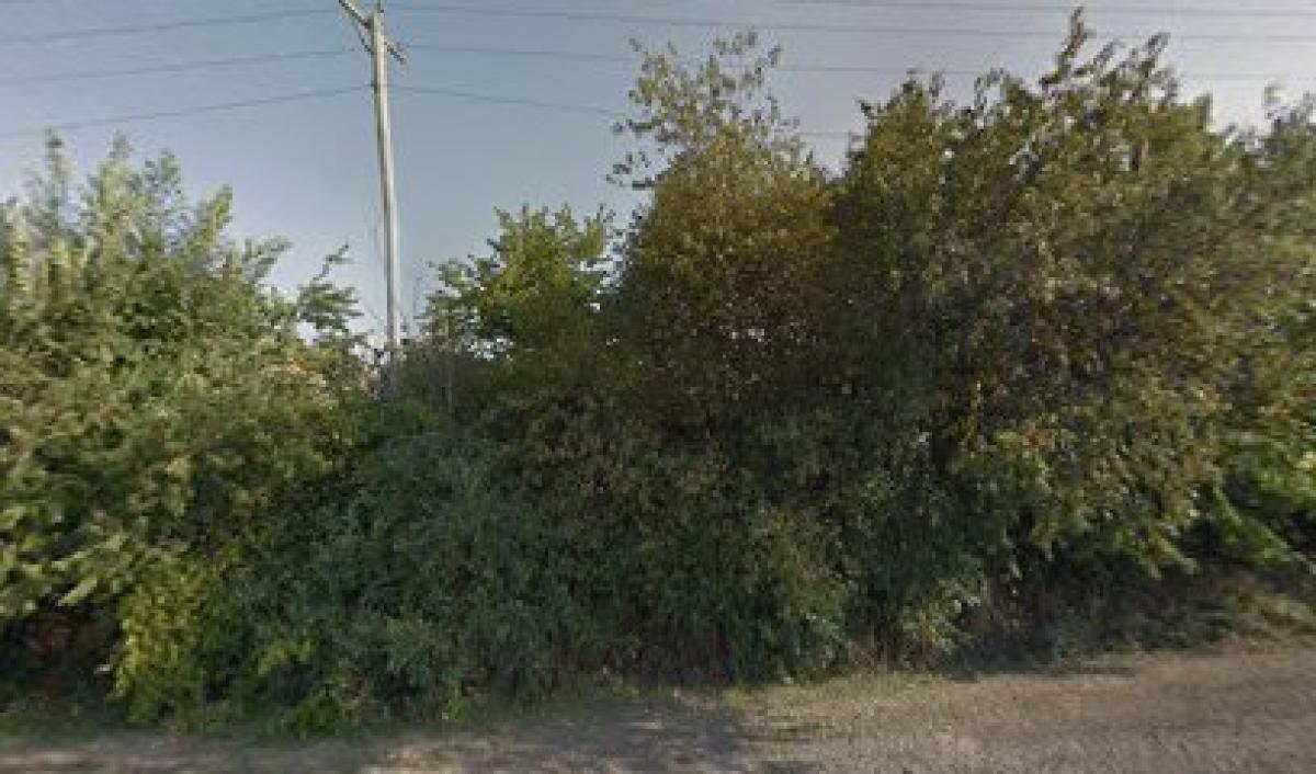 Pecatonica River Honey