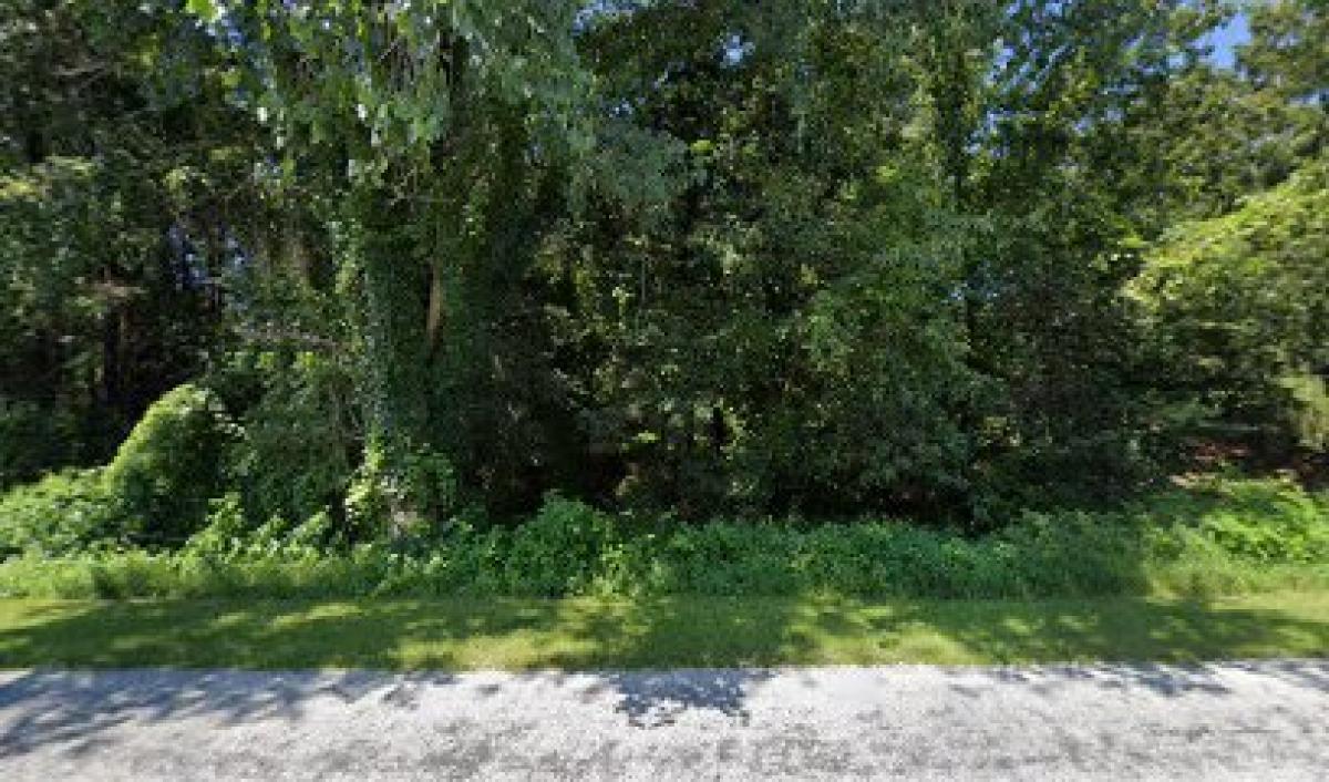 Dal-Key's Honey Farm