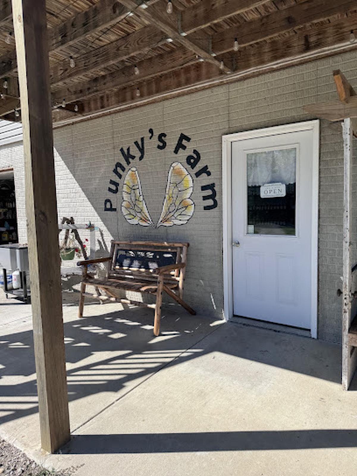 Punky’s Farm Wildflowers and Honey