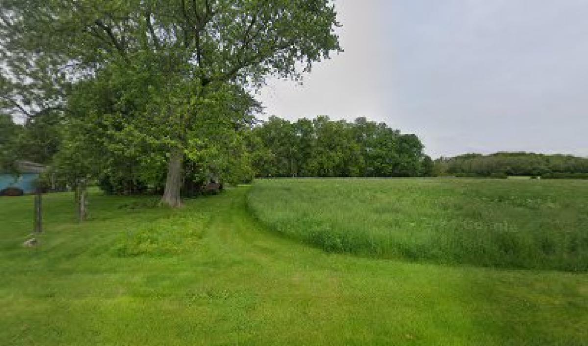 Ken Theis Family Honey