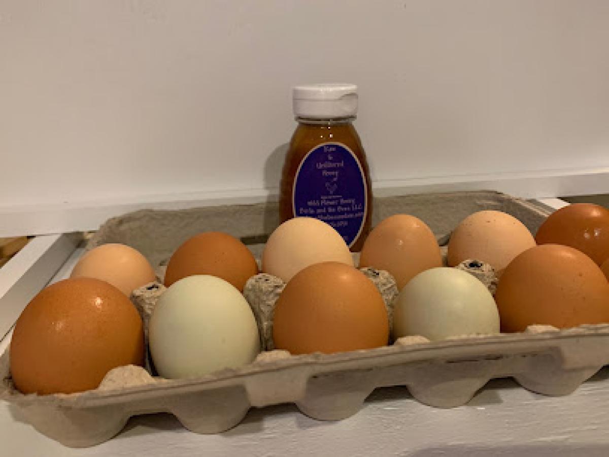 Birds and the Bees, Crown Point, IN