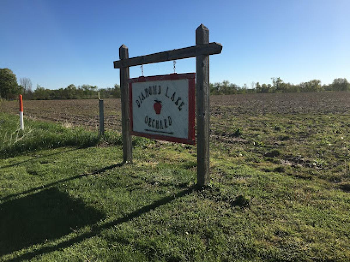 Diamond Lake Orchard