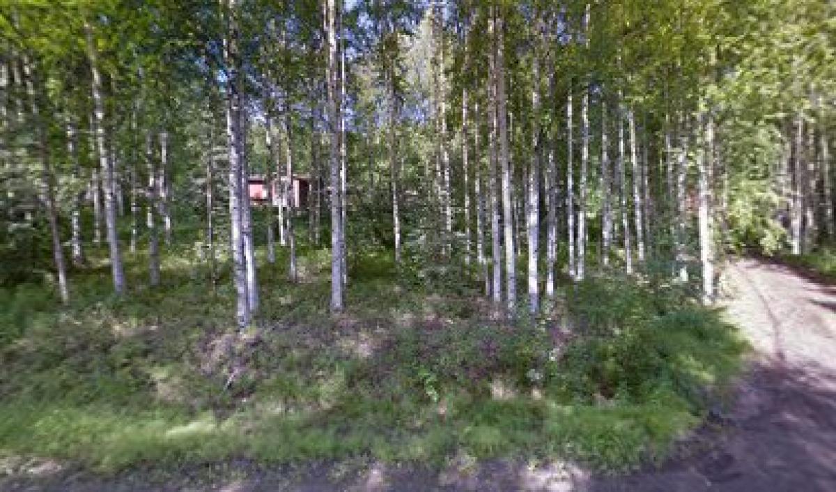 Alaska Honey Collective