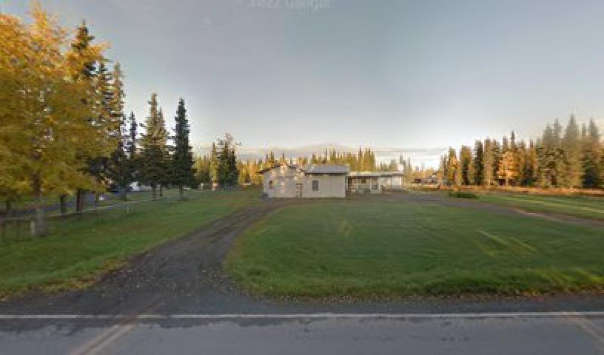 Sarah's Alaska Honey