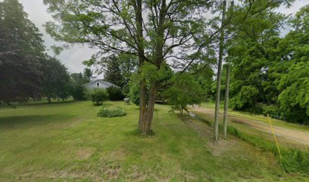 Golden Harvest Honey