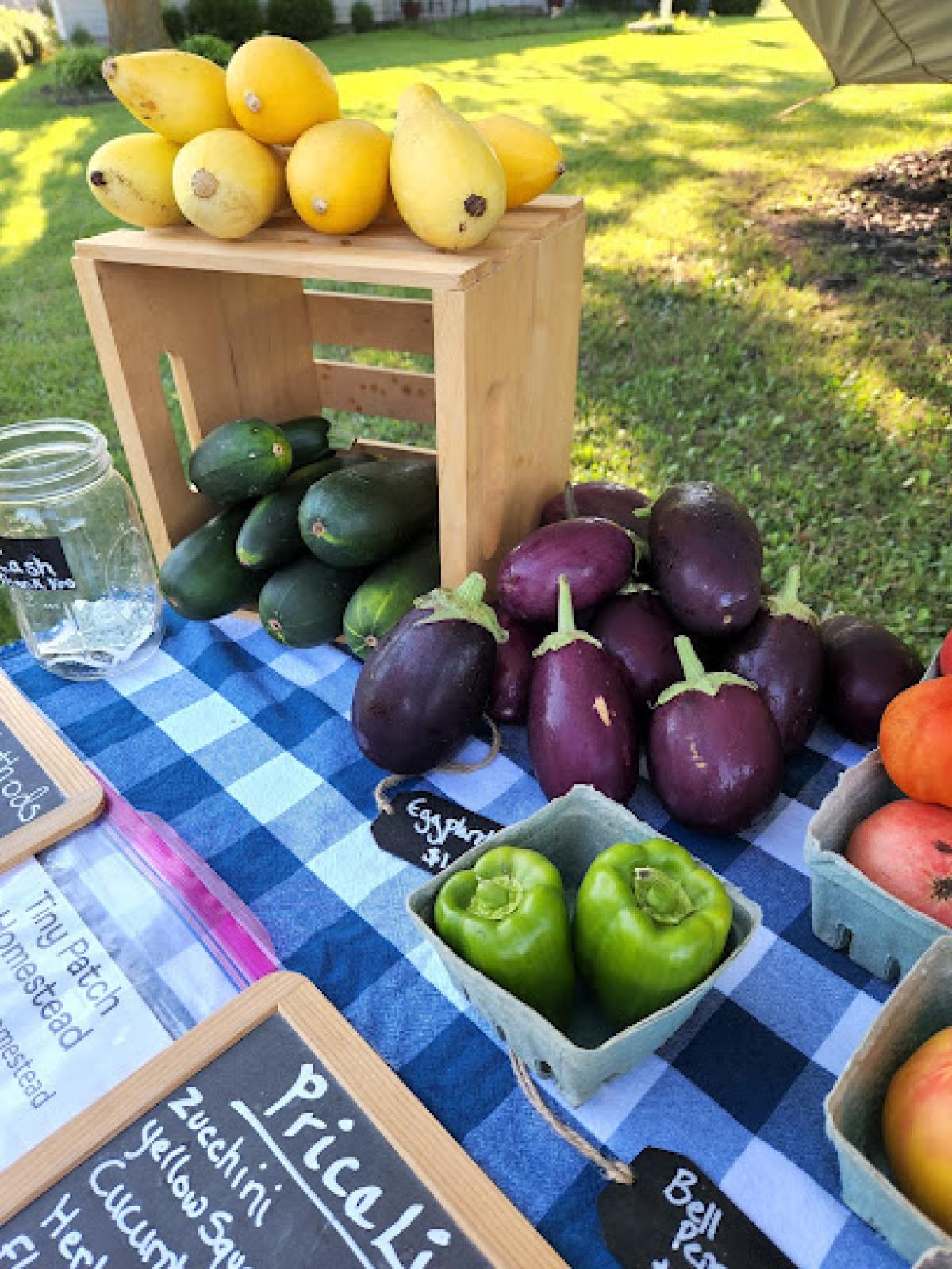 Tiny Patch Farmstead