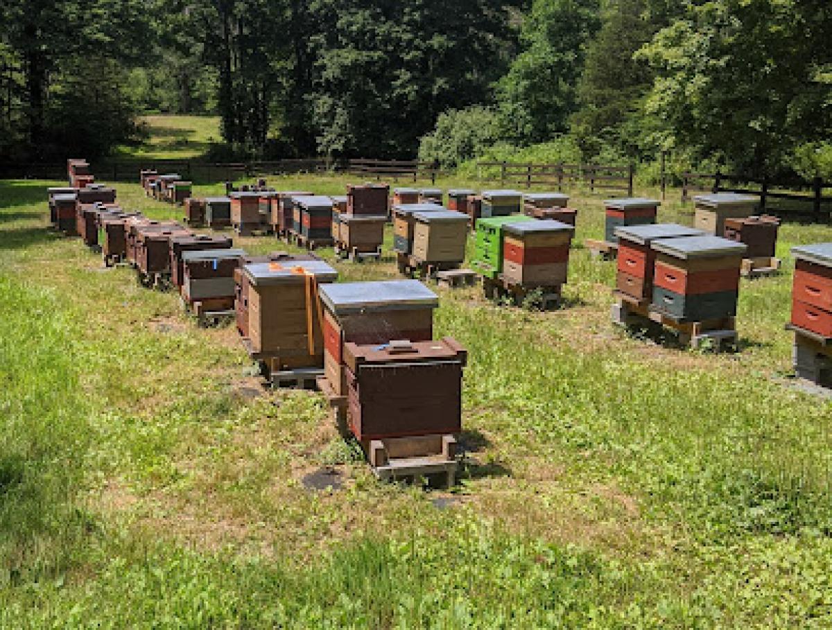 Moons Gold Apiary LLC