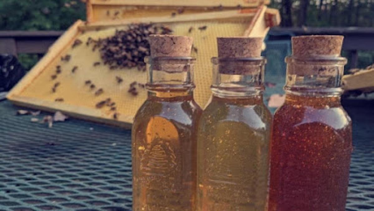 Blueberry Woods Farm LLC