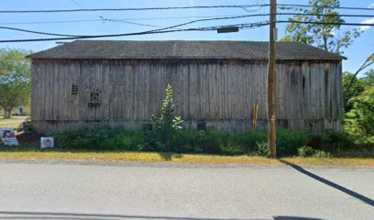 Ladybug Farm Produce
