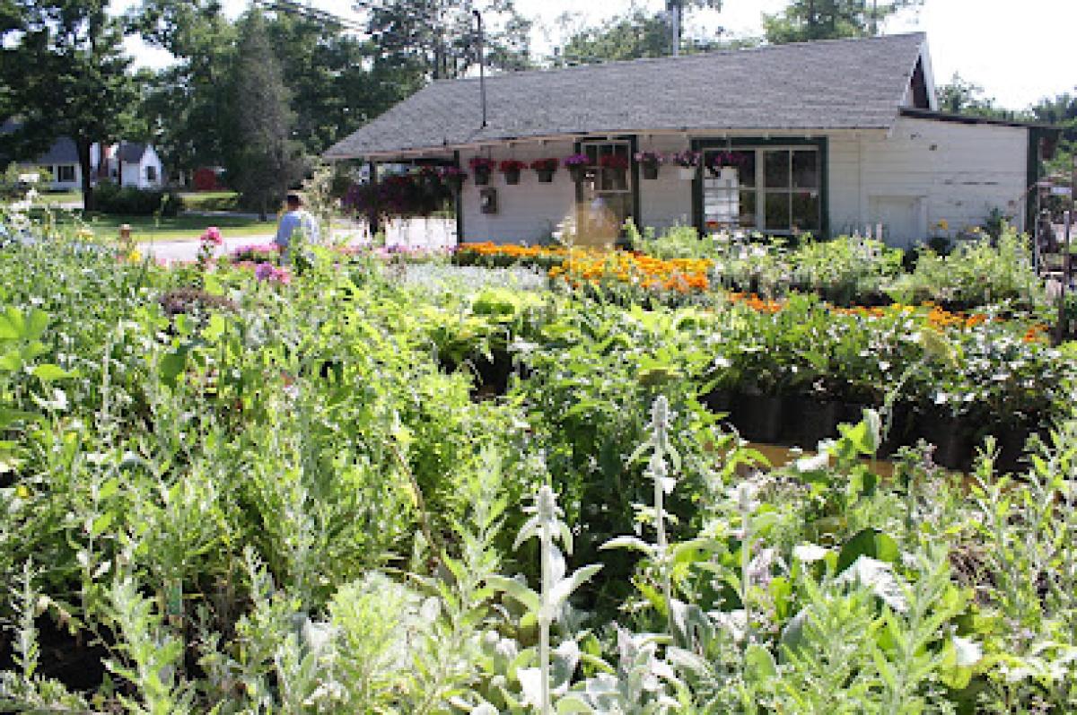 Howe's Farm & Garden LLC
