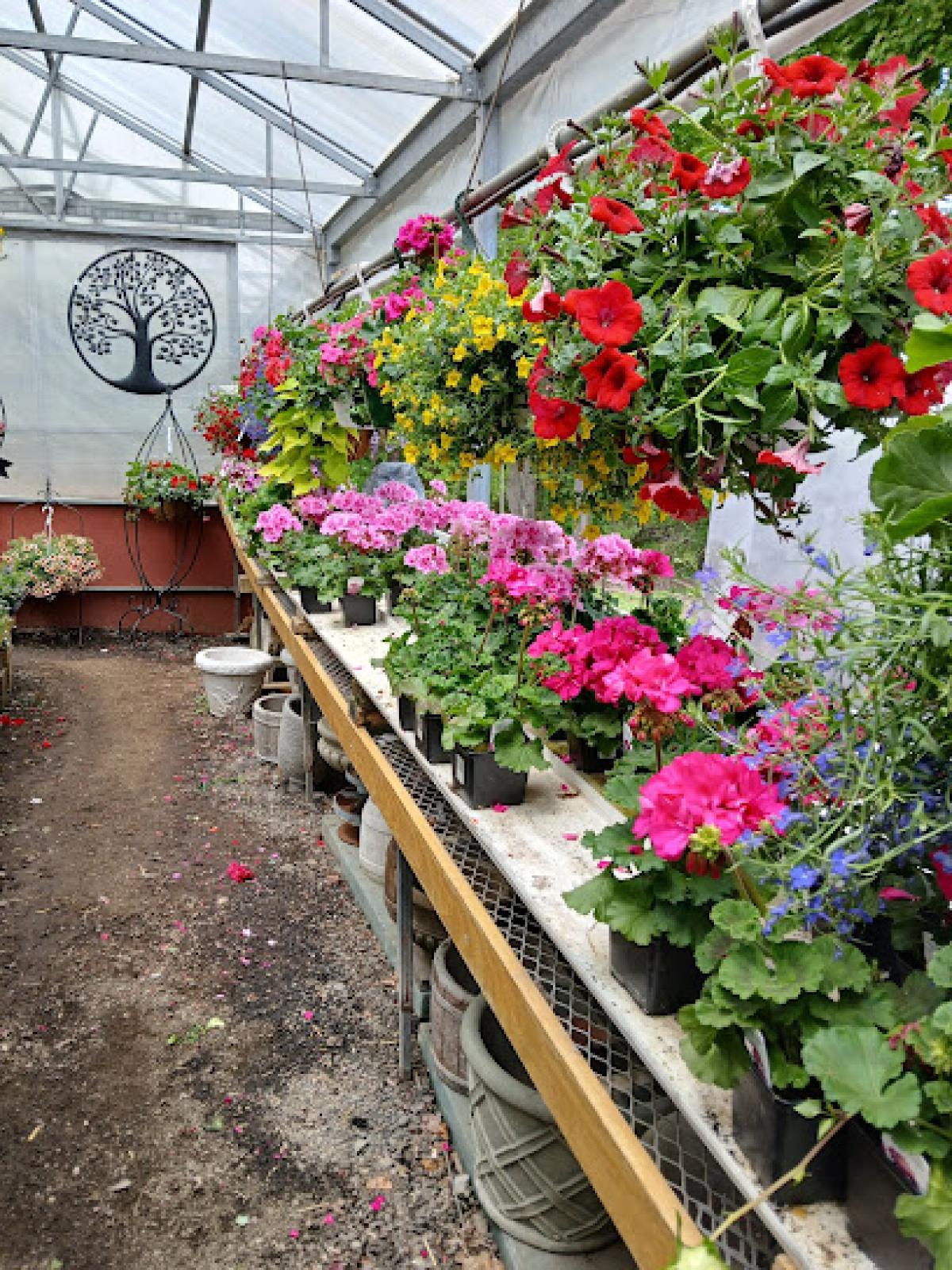 Farmer Joe's Gardens