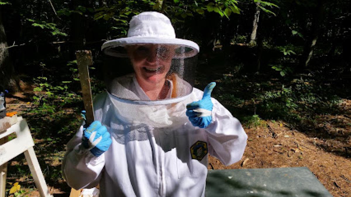 Dancing Queen Apiary