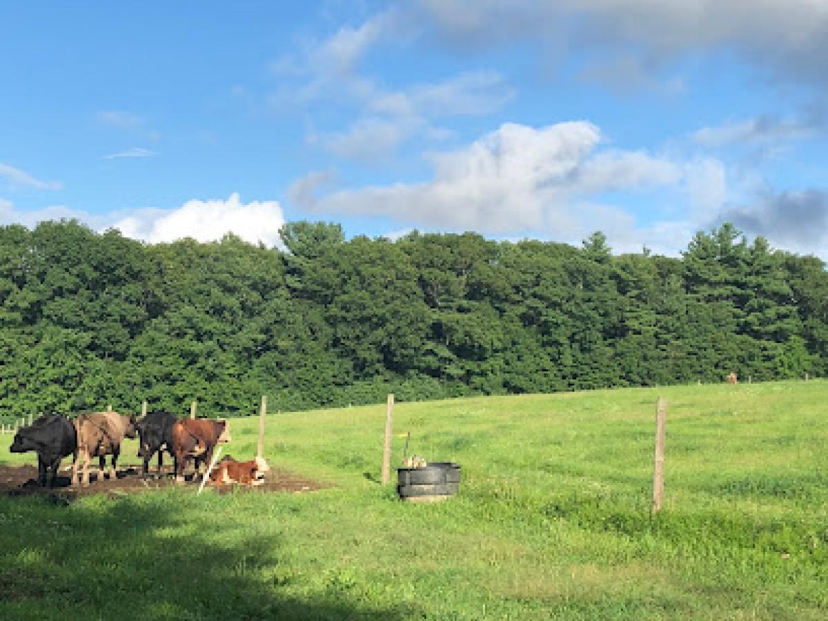 Town Line Dairy Farm