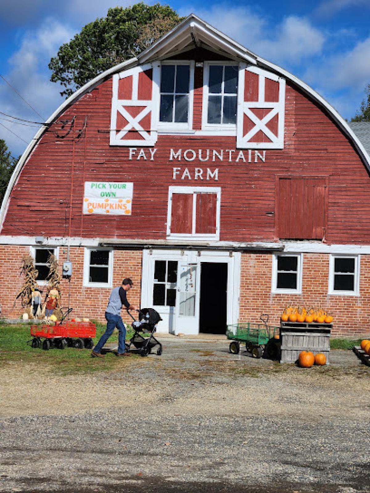 Fay Mountain Farm