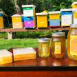Do Re Bee - Local Honey