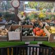 Calkins Farm Stand