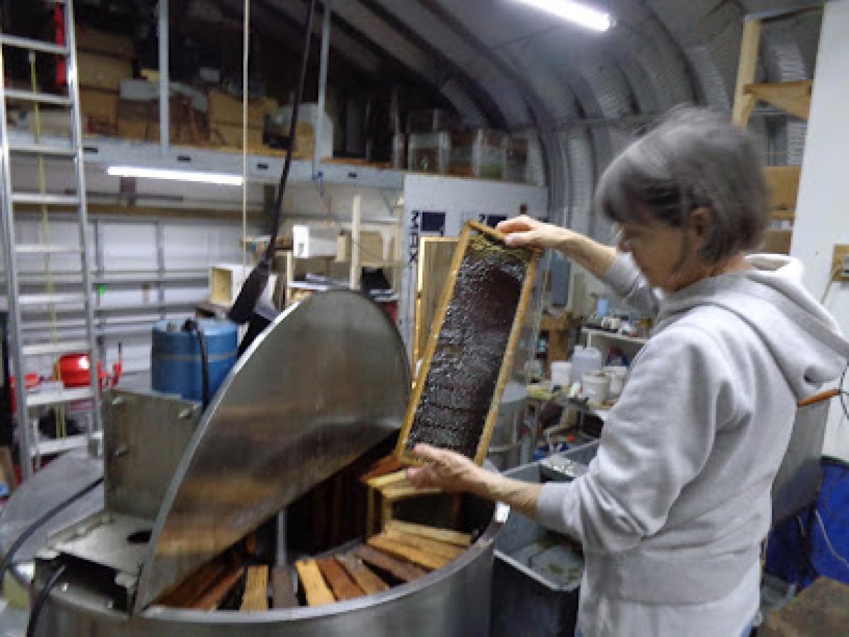 Local Honey , Homemade Crafts