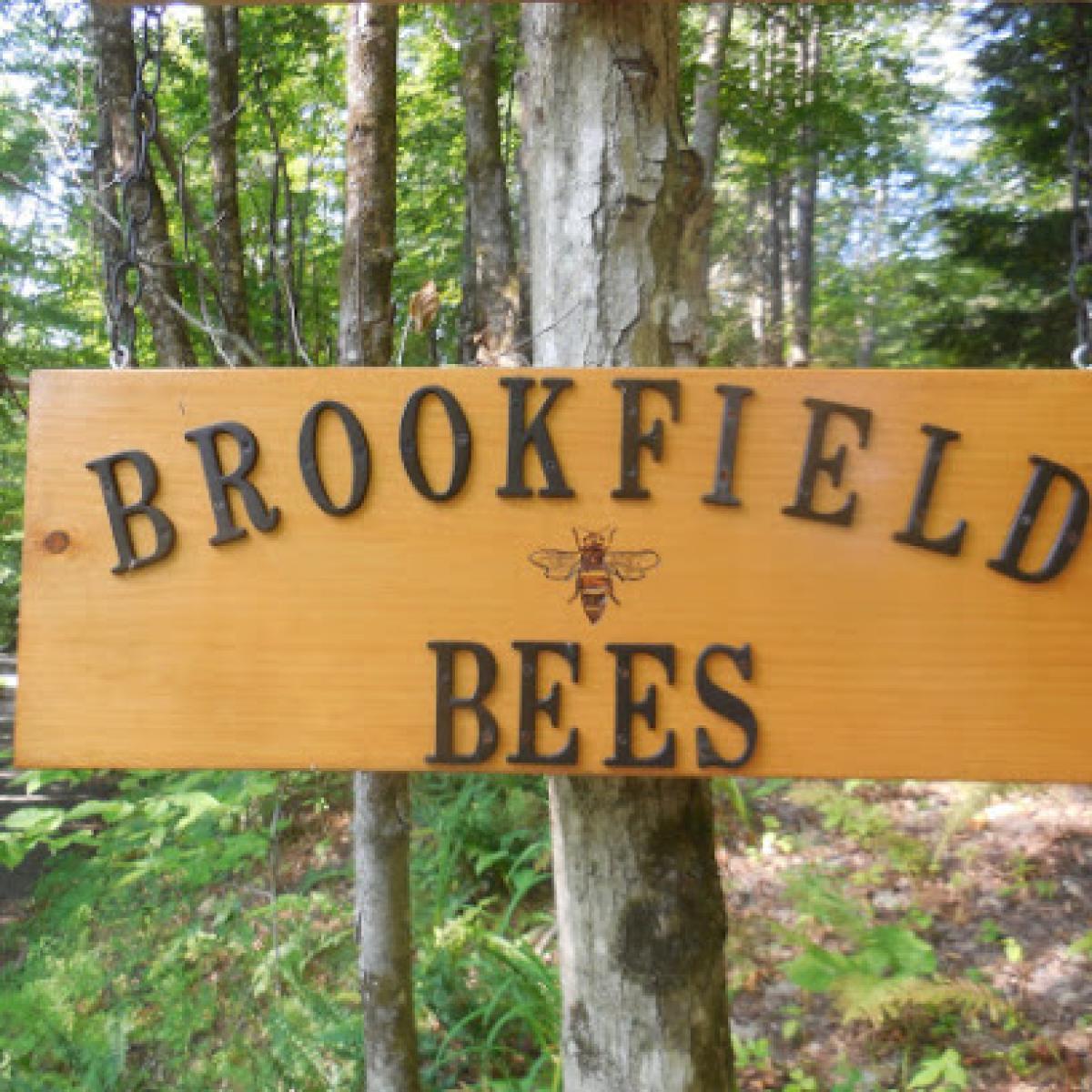 Brookfield Bees