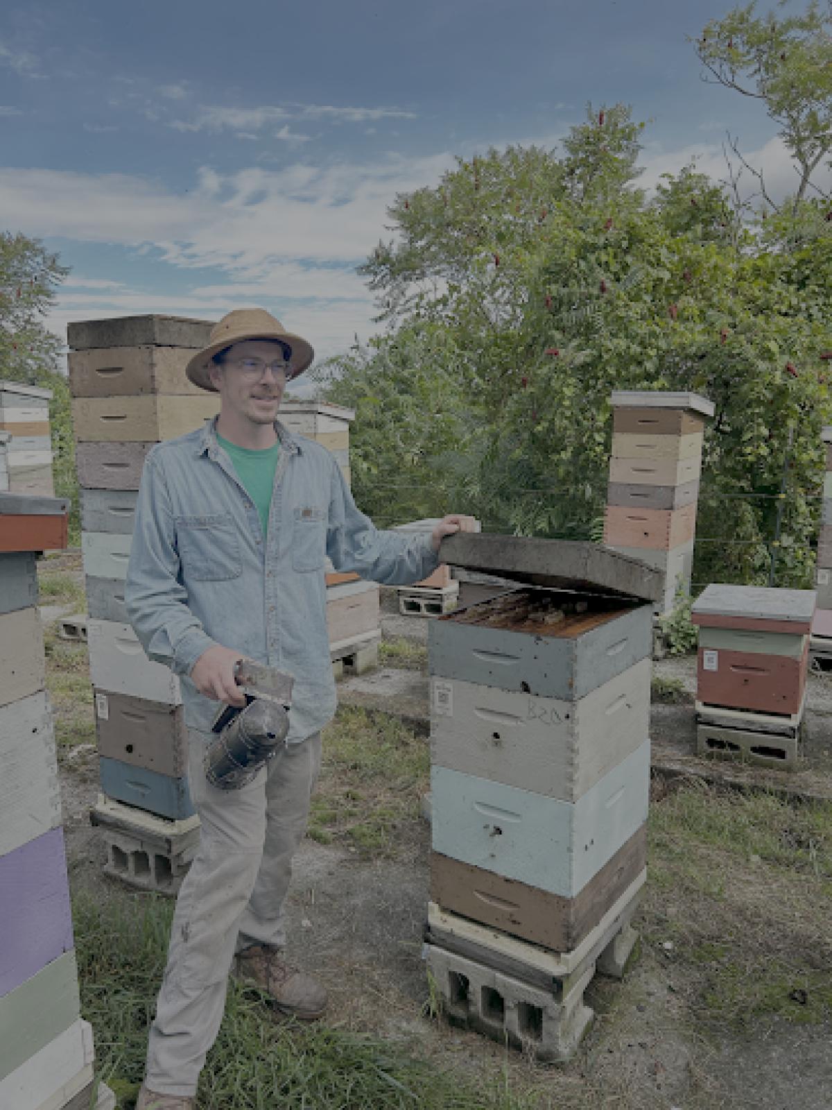 Champlain Valley Apiaries