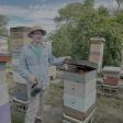 Champlain Valley Apiaries