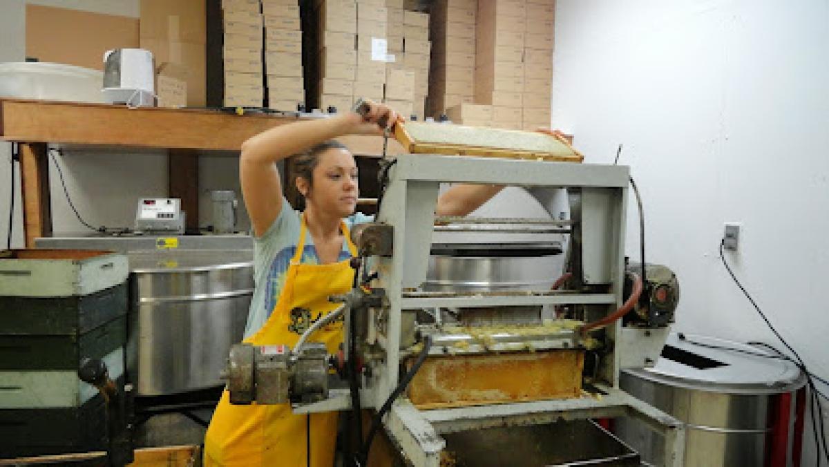 Mountain State Honey Co