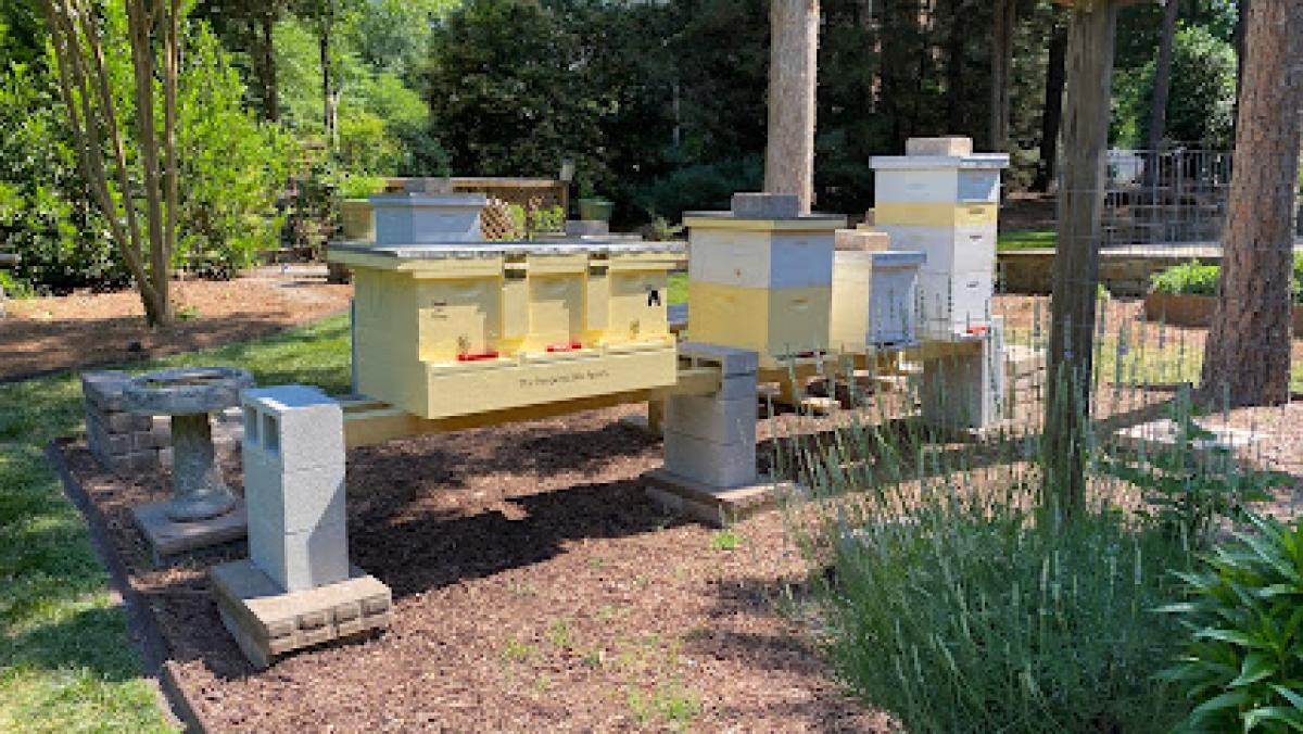 The Pampered Bee Apiary