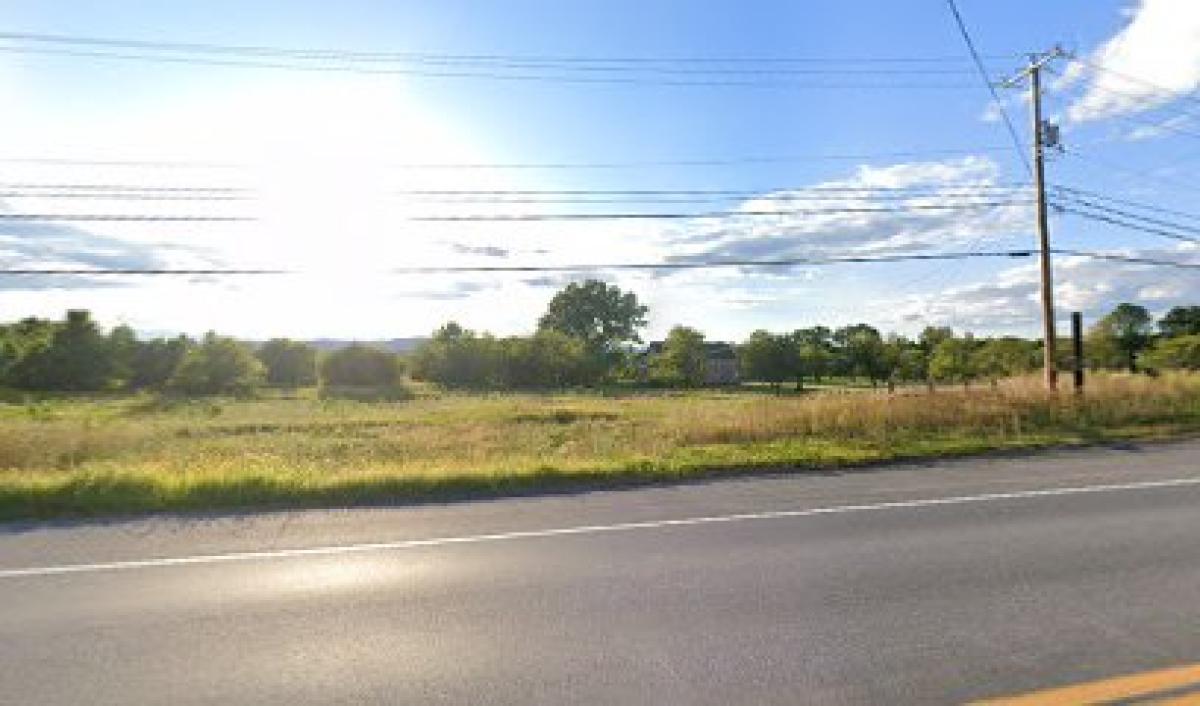 Swaying Daisies Honeybee Farm Market & Cafe