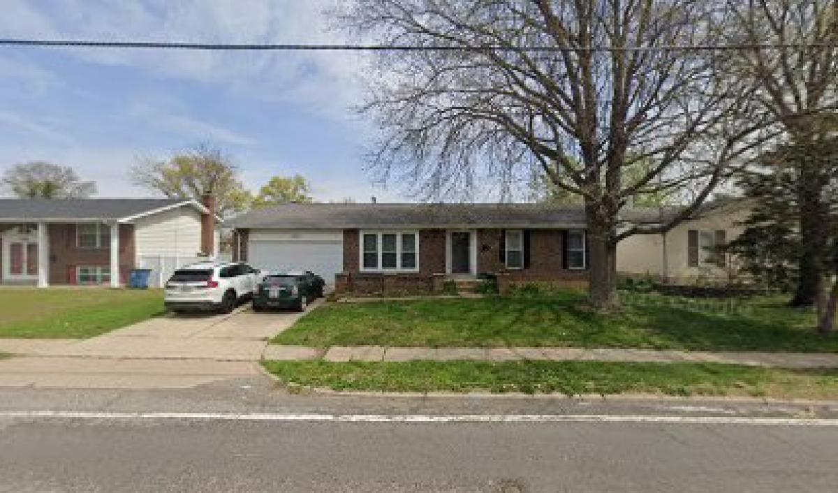 Melanie’s Busy Bees