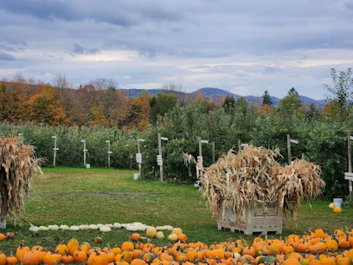 Burtt's Apple Orchard