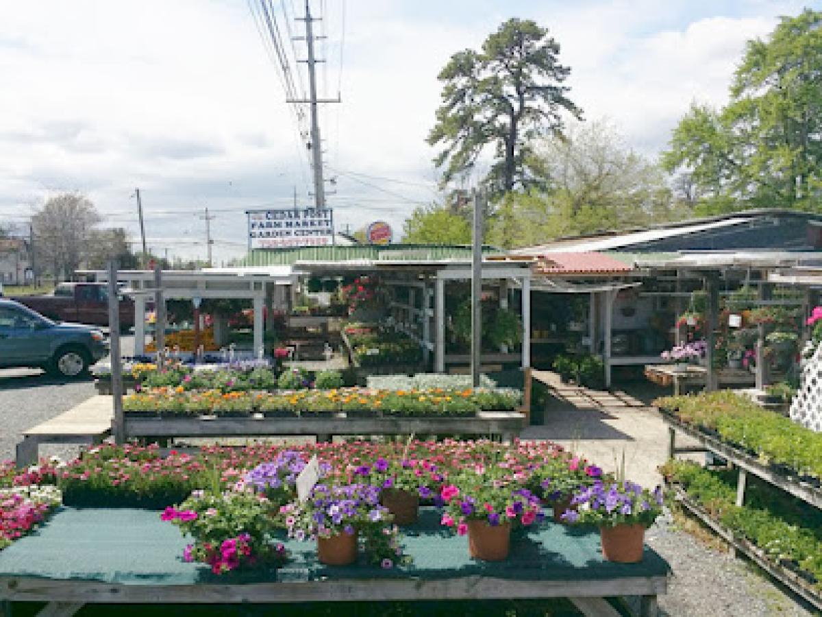 Cedar Post Market
