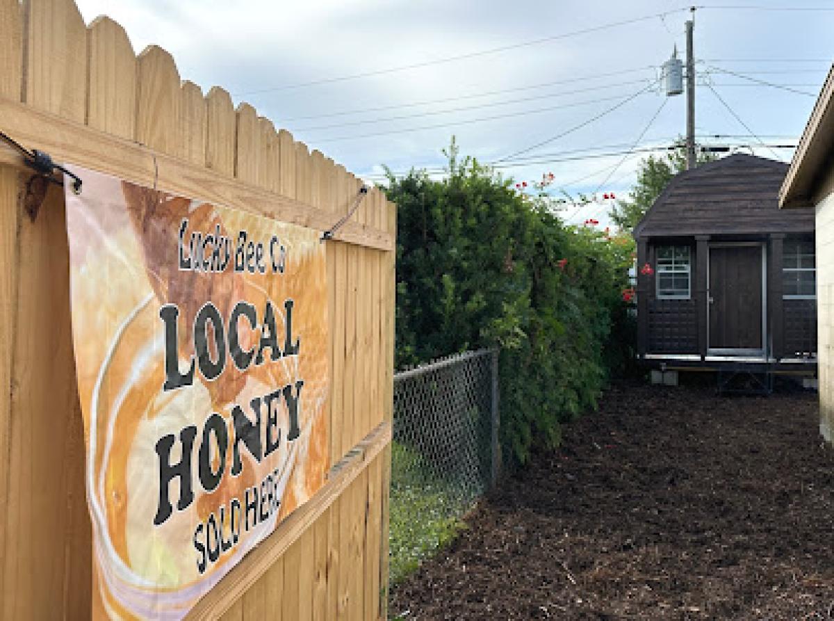 Lucky Bee Honey & Bee Removal