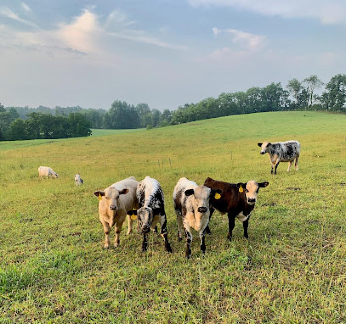 Wilson Family Farms NJ