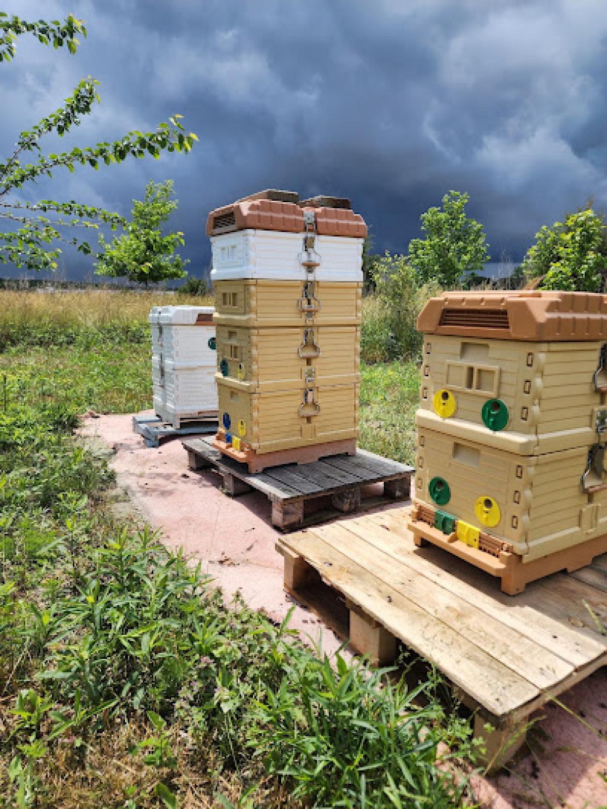 Carey Apiary and Farm LLC