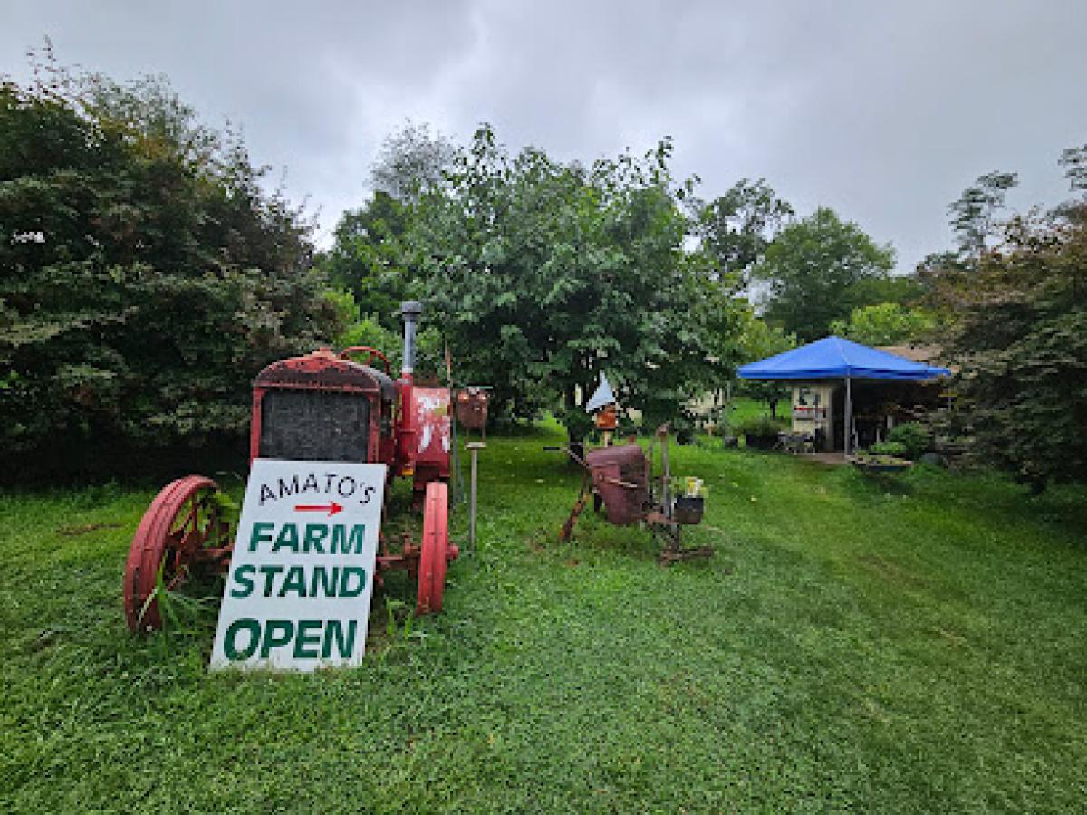 Amato Farm
