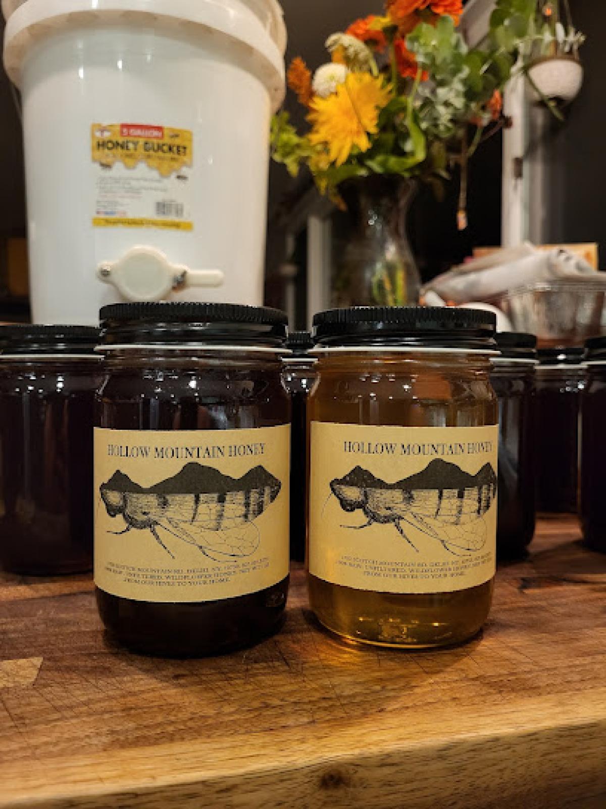 Hollow Mountain Honey