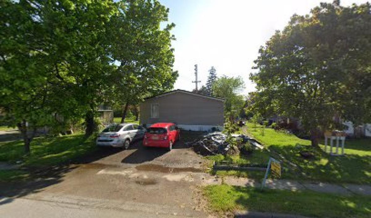 springs Honey farm cuba ny