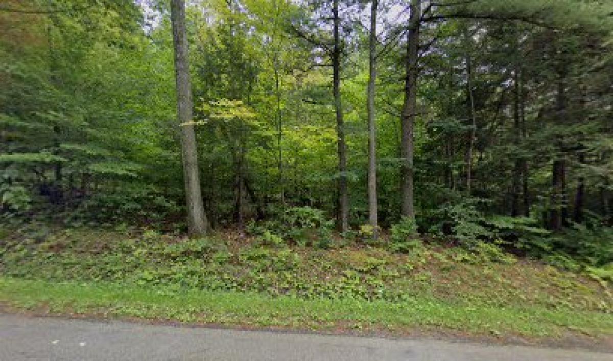 Honeypot Apiaries Binghamton,NY & Equinunk, PA