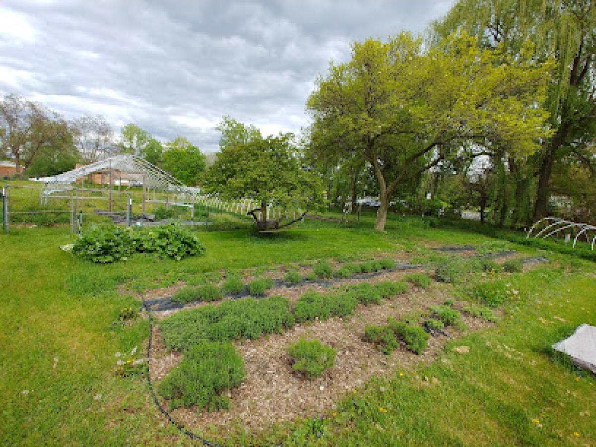 Honey Locust Farm House