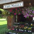 Diehl Farms Farm Market