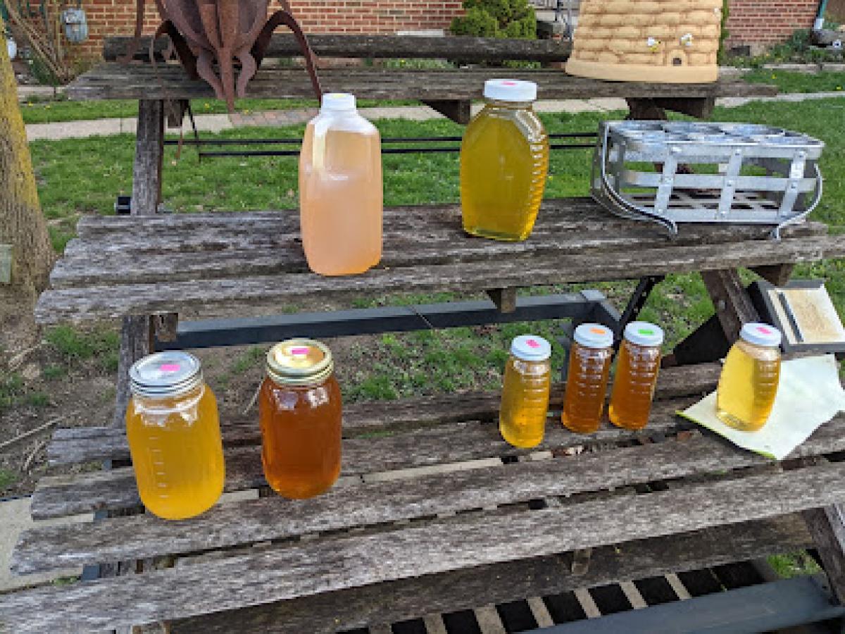 Pure Local Honey - Campana Honey Co.