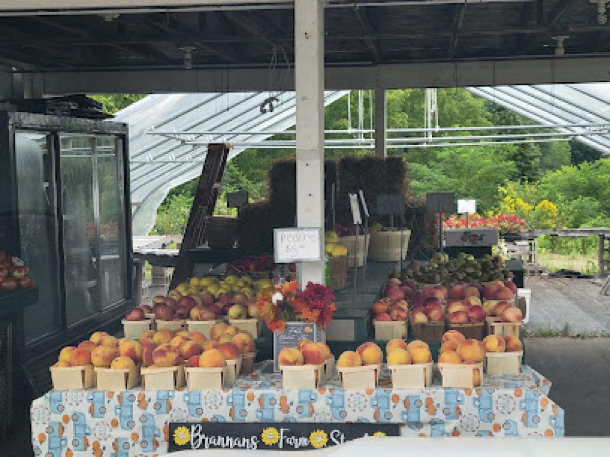 Brannan Farm Stand