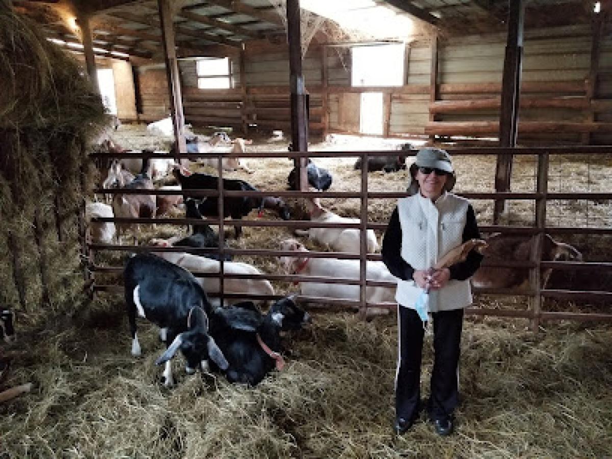Side Hill Acres Goat Farm