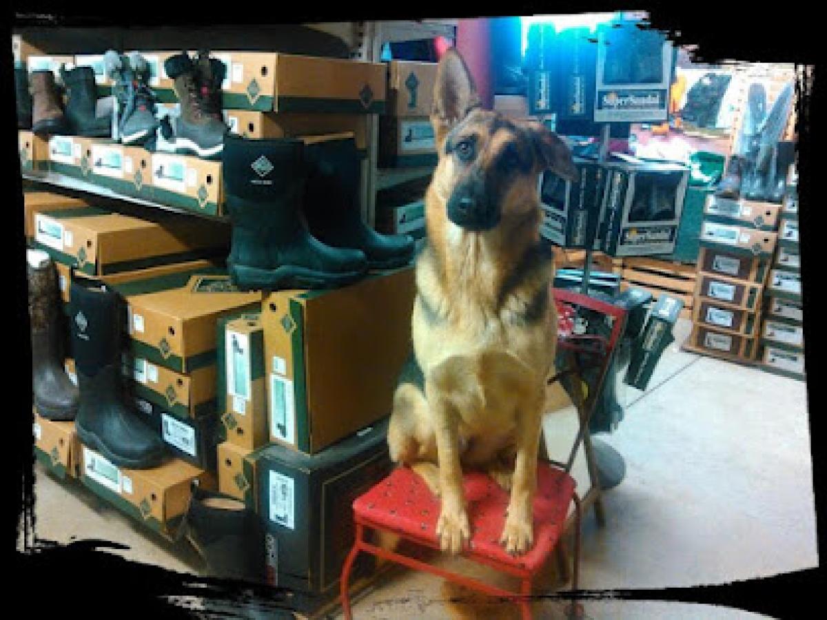 Mary’s Barn Market